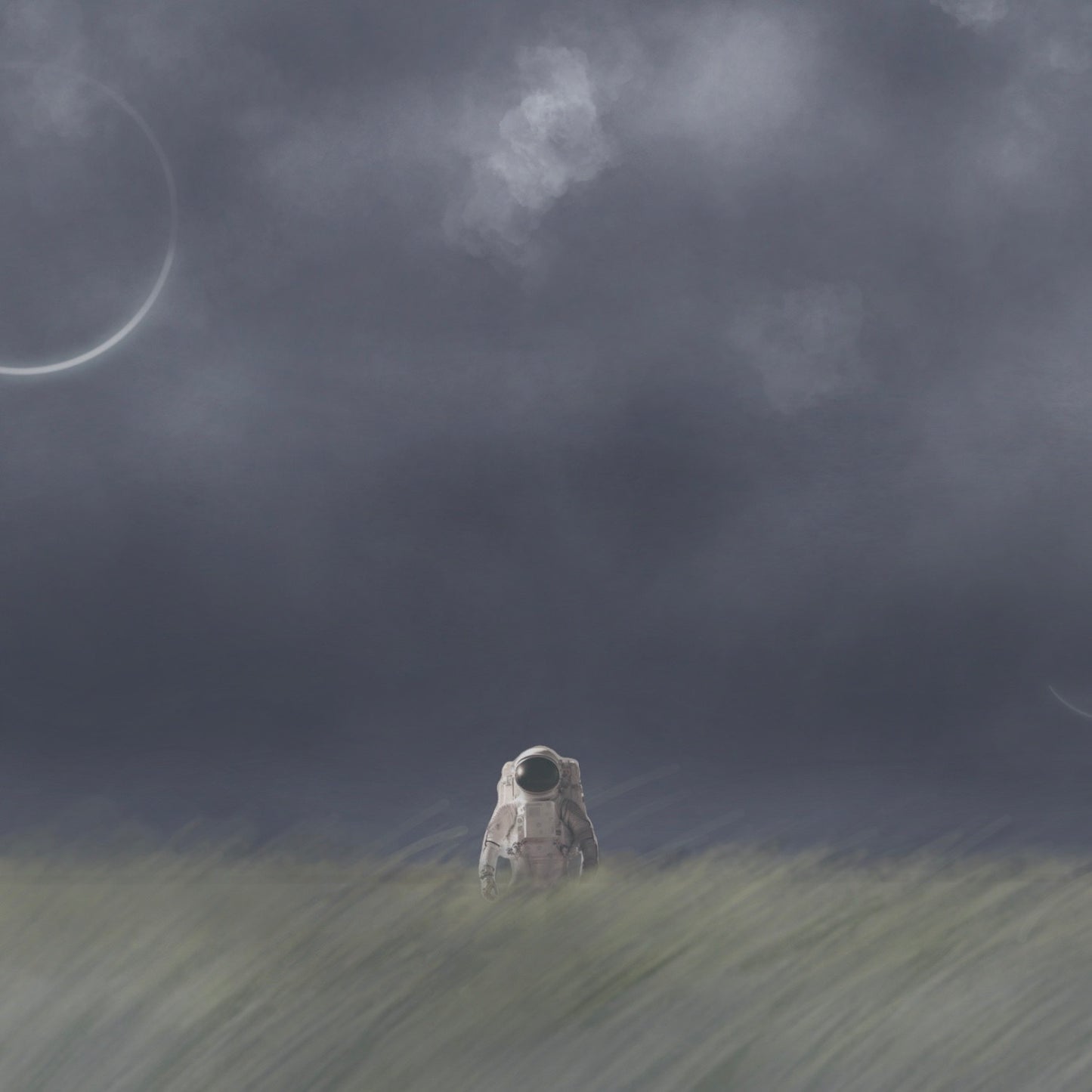 Midnight Stroll - Jessica Nielsen signed art print