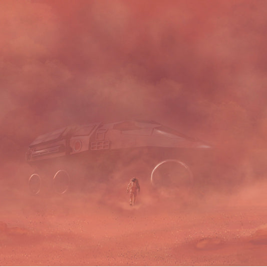 Space Pirate - Jessica Nielsen signed art print